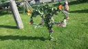 Filename=20170622_181230.jpg
Filesize=645KiB
Dimensions=1243x700
Date added=Jul 13, 2021 20170622_181230.jpg