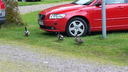 20150620_114636.jpg