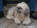 pict0213.jpg