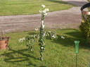 PICT0007.JPG
