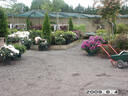 PICT0433.JPG