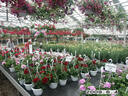 Filename=PICT0434.JPG
Filesize=238KiB
Dimensions=1000x750
Date added=May 04, 2021 PICT0434.JPG