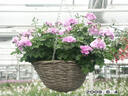 Filename=PICT0435.JPG
Filesize=127KiB
Dimensions=1000x750
Date added=May 04, 2021 PICT0435.JPG