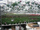 Filename=PICT0436.JPG
Filesize=208KiB
Dimensions=1000x750
Date added=May 04, 2021 PICT0436.JPG