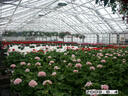 Filename=PICT0437.JPG
Filesize=193KiB
Dimensions=1000x750
Date added=May 04, 2021 PICT0437.JPG