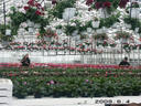 Filename=PICT0438.JPG
Filesize=201KiB
Dimensions=1000x750
Date added=May 04, 2021 PICT0438.JPG