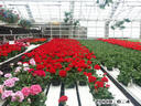 Filename=PICT0439.JPG
Filesize=185KiB
Dimensions=1000x750
Date added=May 04, 2021 PICT0439.JPG