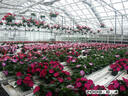Filename=PICT0440.JPG
Filesize=202KiB
Dimensions=1000x750
Date added=May 04, 2021 PICT0440.JPG