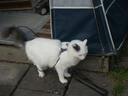 PICT0250.JPG