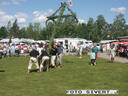 PICT0351.JPG