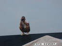 PICT0412.JPG